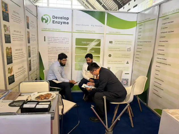 Feed-Grade, High-Activity, Stabilized Water-Soluble Glucose Oxidase (CAS 9001-37-0) for Animal Nutrition, Poultry, Ruminant, Swine Feeds, Improved Gut Health