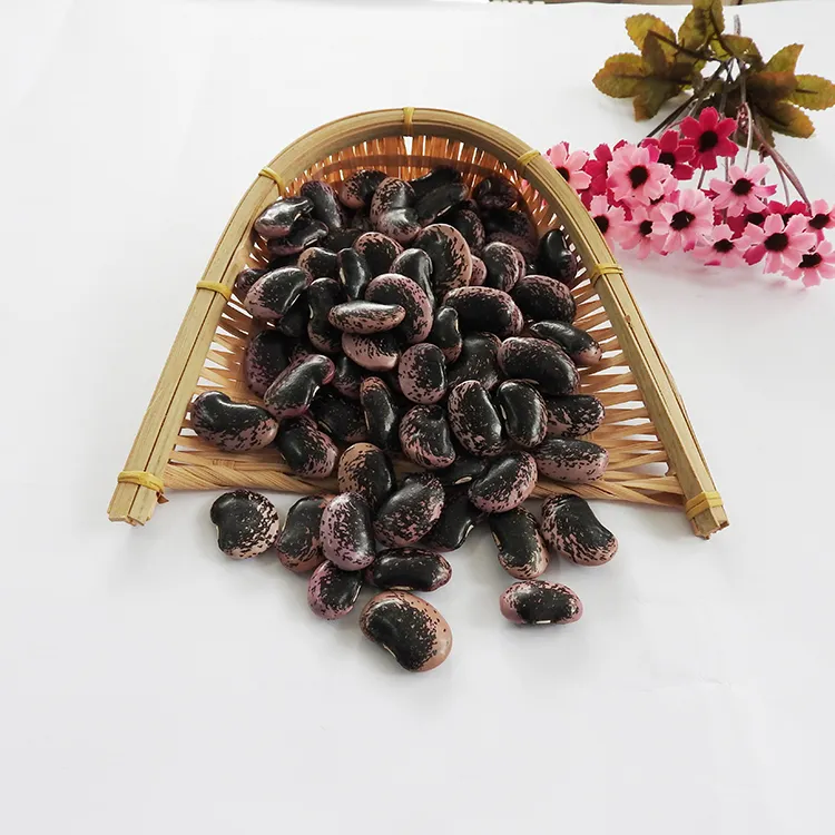 Wholesale Big Dark Black Market Price Kidney Bean