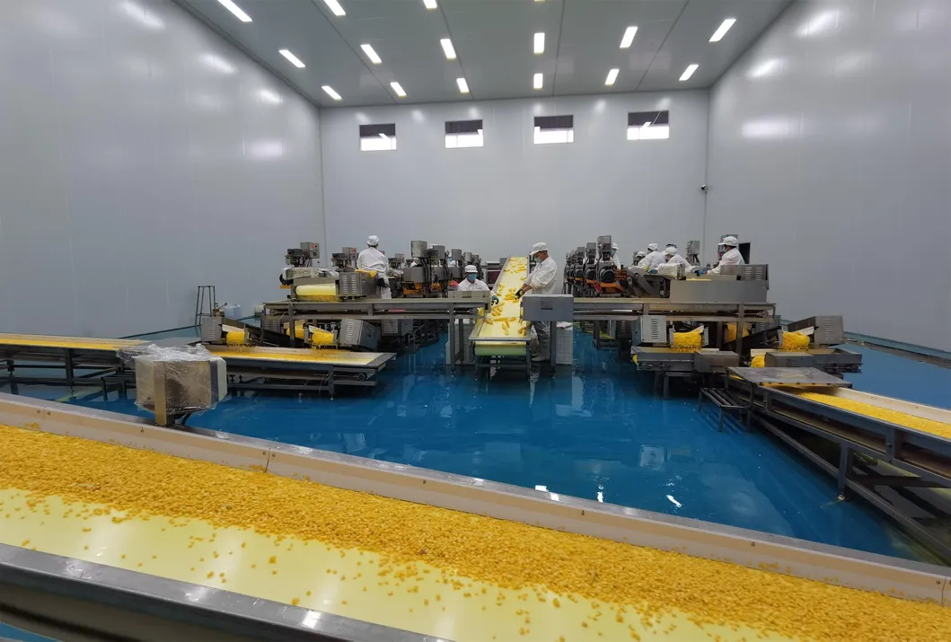 Factory Price for Canned Sweet Kernel Corn Canned Sweet Yellow Corn