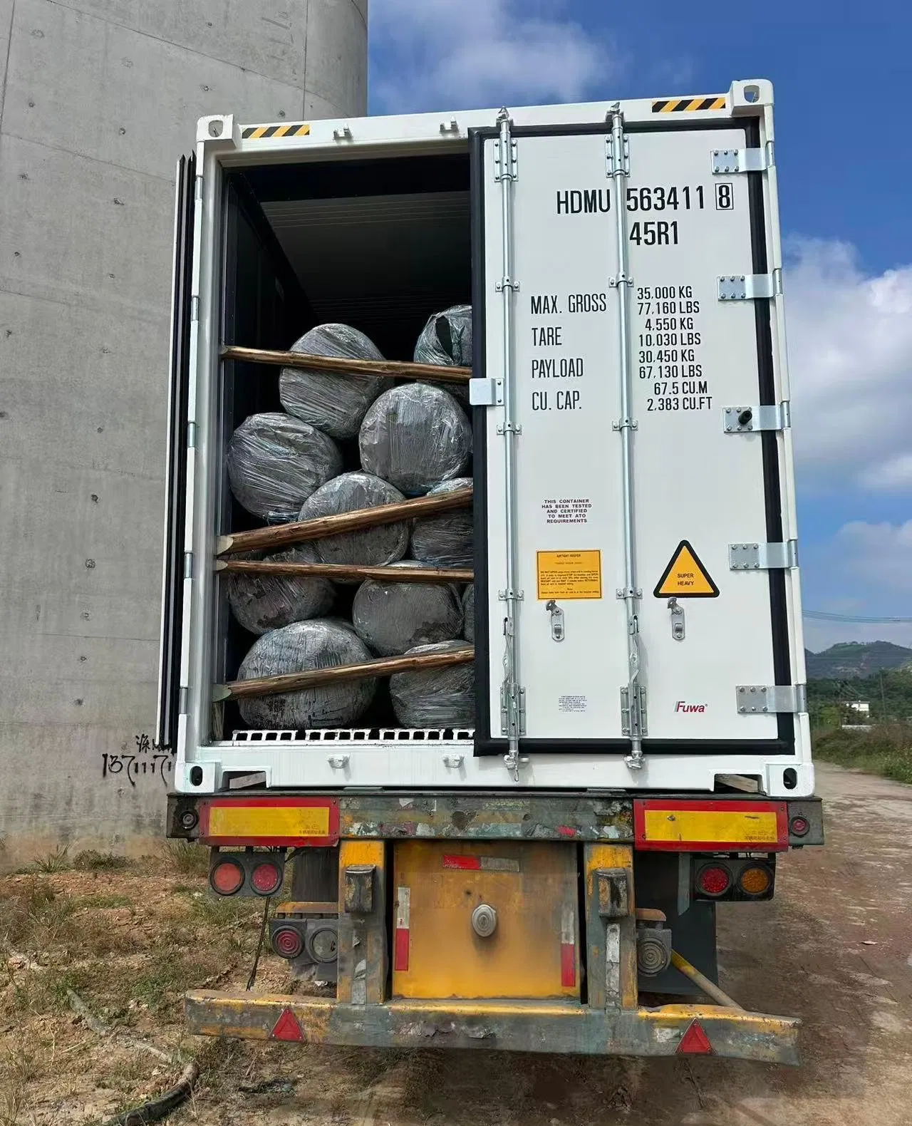 Terminalia Catappa Ornamental Tree Export-Ready Seedlings Nursery Plant for Global Landscaping Projects