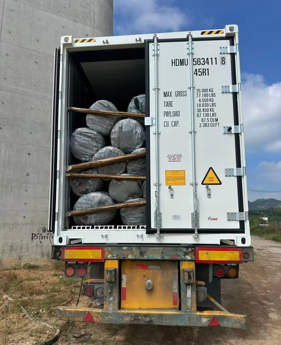 Hot Sale Live Plants Wholesale Loropetalum Chinense Decorative Bonsai