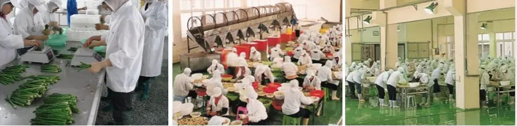 Hot & Sour Instant Noodle Snacks - 5-Minute Meal