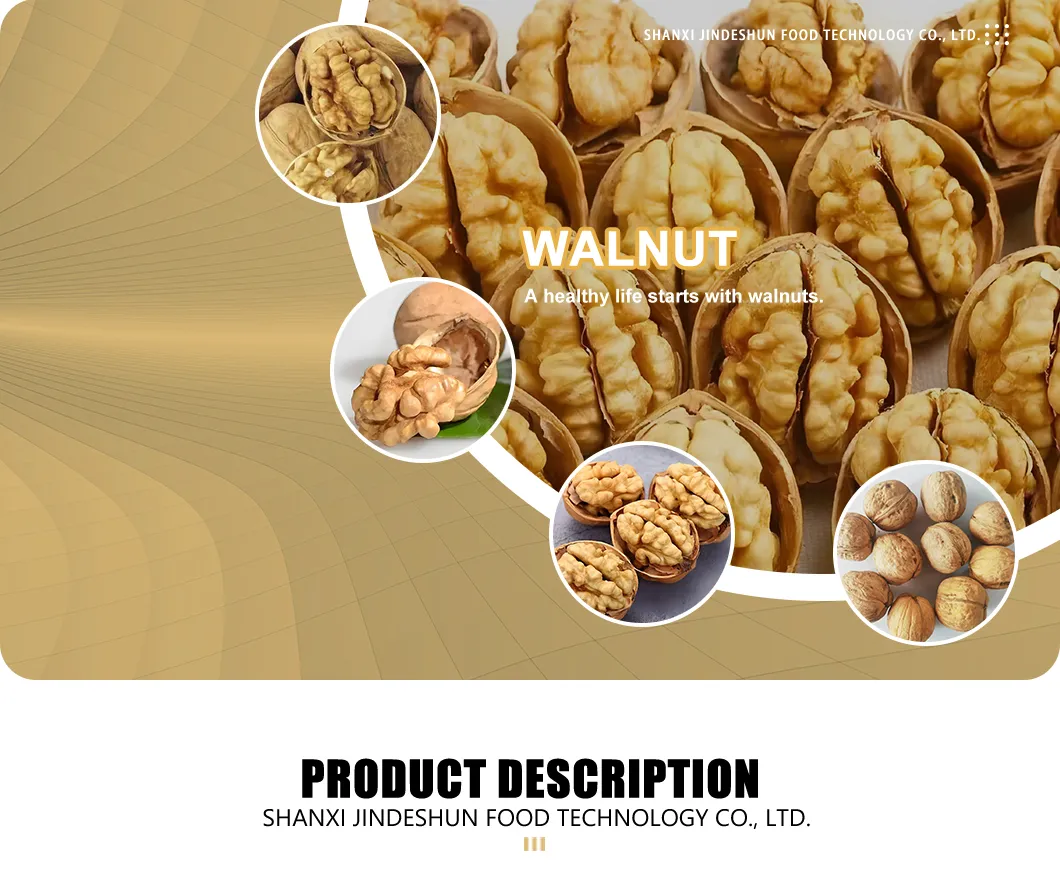 Green Cultivation Regular Shape Plump Kernel Xinjiang 185 Walnut