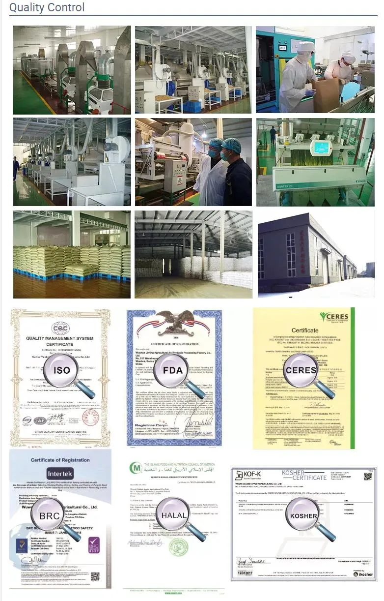 China Wholesale Coffee Bean and Arabica Coffee Bean for Your Choice