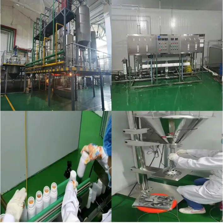 Potassium Monopersulfate Composite Salt Kmps Pmps Poultry Chicken Pig Farm Disinfectant for Water Sanitation