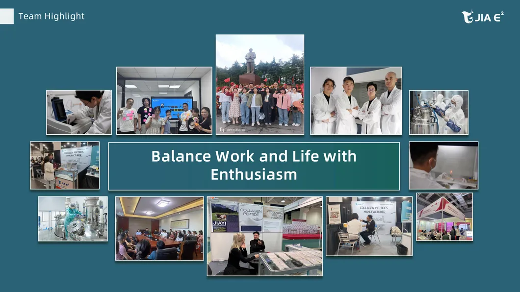 Premium Bovine Collagen Protein Powder for Joint Health