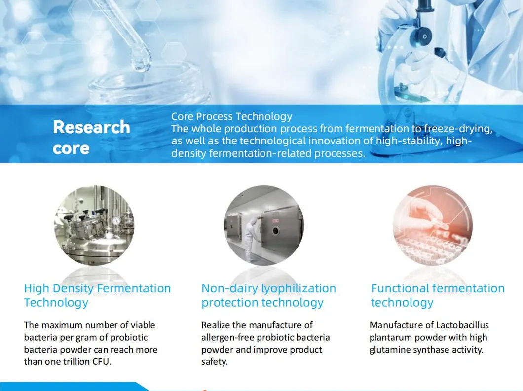 Hot-Sale 500 Billion Cfu/G Bifidobacterium Lactis Probiotics Strains for Nutraceutical Supplements