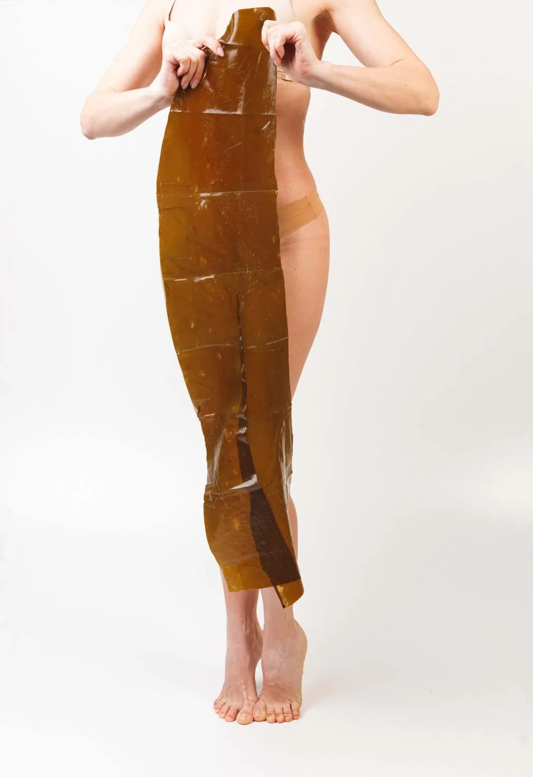 Natural Dried Seaweed Brown Algae Sea Kelp for Body Treatment