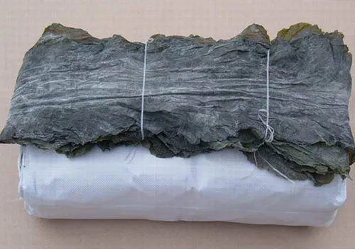 Natural Dried Seaweed Brown Algae Sea Kelp for Body Treatment