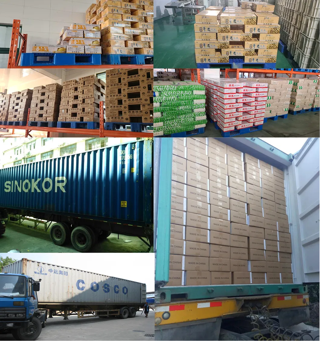 Sample Service China Suppliers Factory Wholesale Korean Style Shin Customized Brand Halal Nongshim Ramen Korean Spicy Flavour Instant Soup Instant Noodle