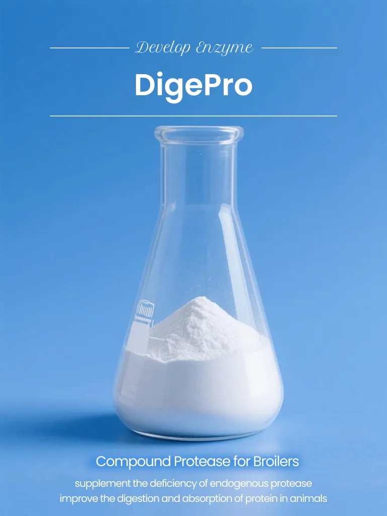 Poultry Feed Grade Enzyme, Compound Protease, Acid Protease/Neutral Protease, Alkaline Protease, Price Protease for Feed Mills, Enzyme Solution for Better Fcr