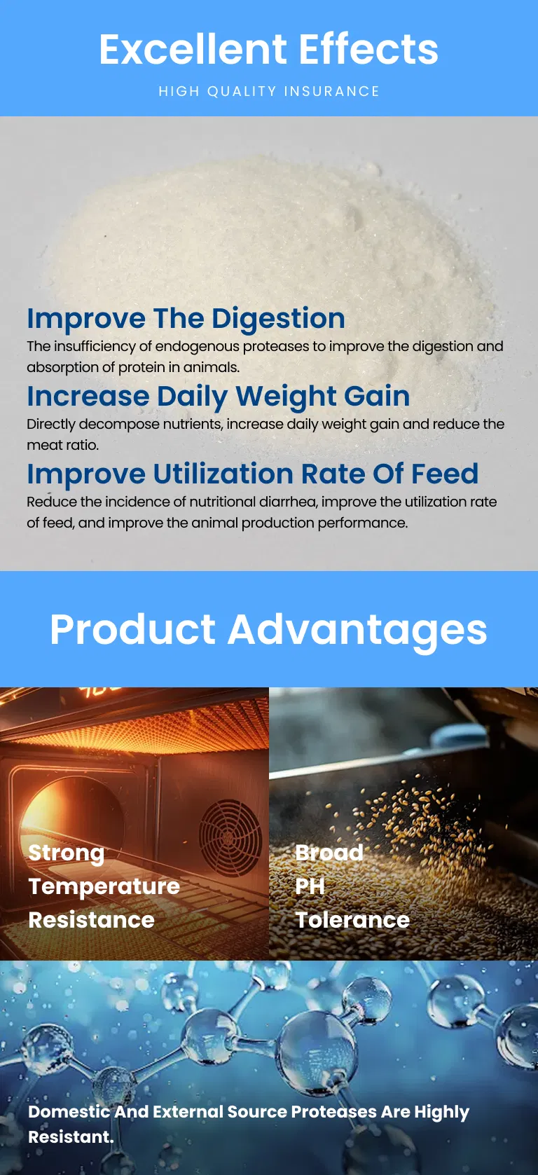 Poultry Feed Grade Enzyme, Compound Protease, Acid Protease/Neutral Protease, Alkaline Protease, Price Protease for Feed Mills, Enzyme Solution for Better Fcr