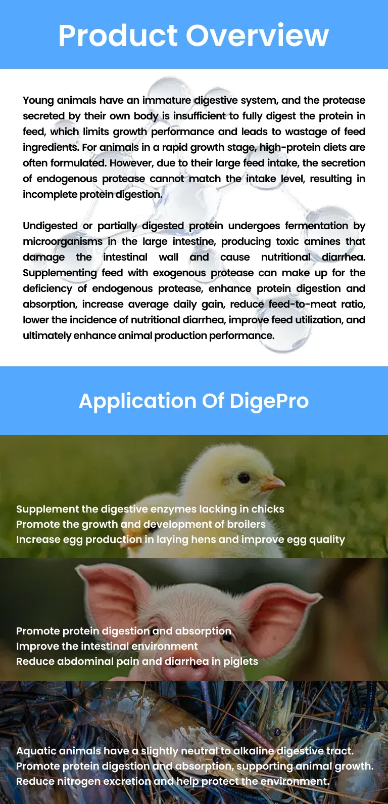 Poultry Feed Grade Enzyme, Compound Protease, Acid Protease/Neutral Protease, Alkaline Protease, Price Protease for Feed Mills, Enzyme Solution for Better Fcr