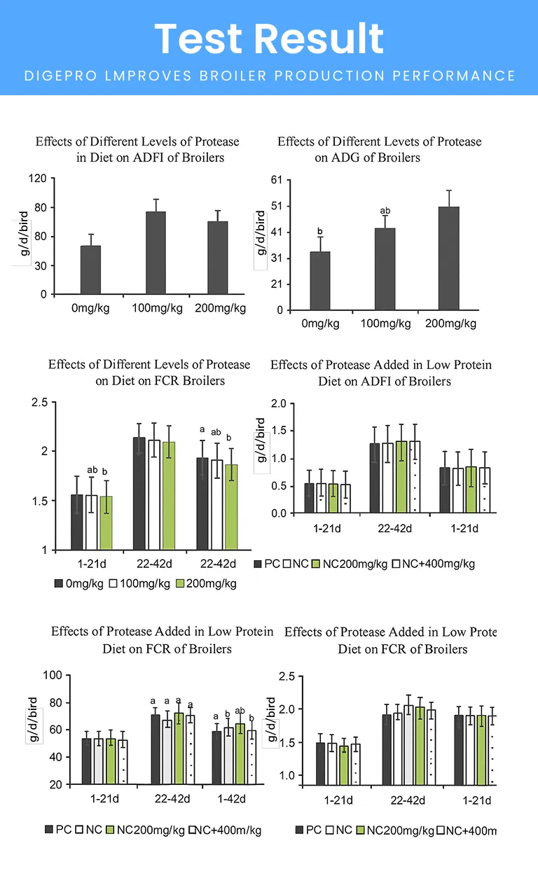 Poultry Feed Grade Enzyme, Compound Protease, Acid Protease/Neutral Protease, Alkaline Protease, Price Protease for Feed Mills, Enzyme Solution for Better Fcr
