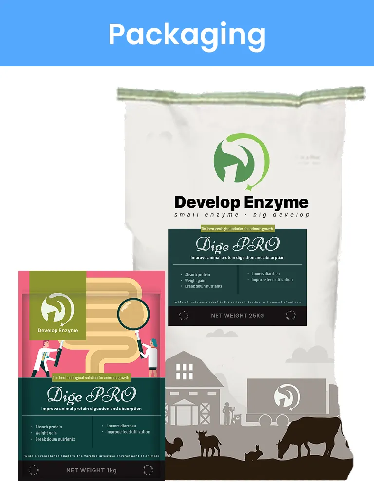 Poultry Feed Grade Enzyme, Compound Protease, Acid Protease/Neutral Protease, Alkaline Protease, Price Protease for Feed Mills, Enzyme Solution for Better Fcr