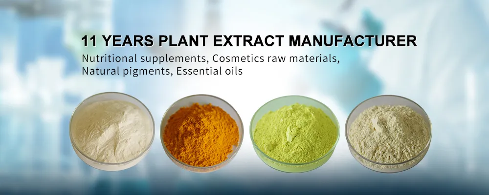 Manufacturer Supply Top Grade Mushroom Extract for Health Ingredients