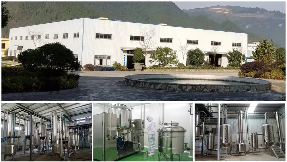 Manufacturer Supply Top Grade Mushroom Extract for Health Ingredients