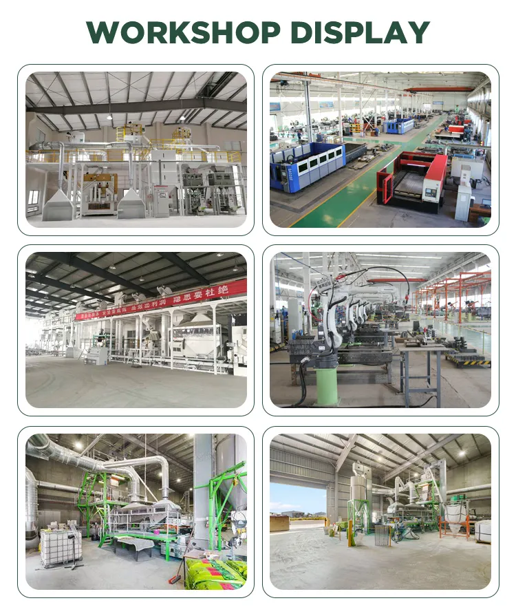 Premium Heirloom Vegetable Seeds Variety Pack for Home Gardens