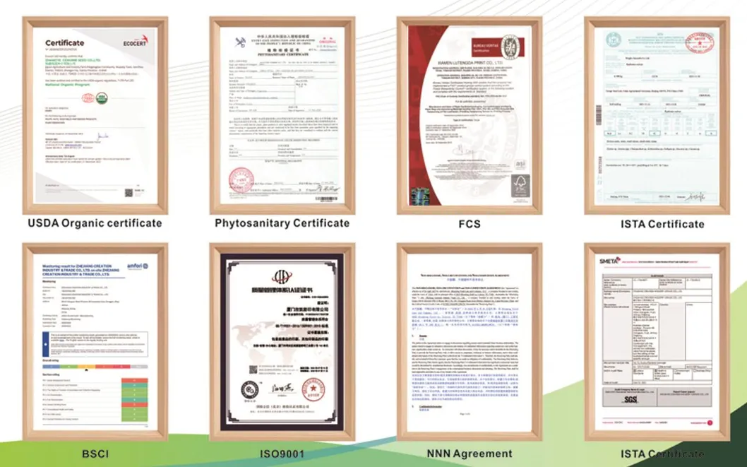 Premium Heirloom Vegetable Seeds Variety Pack for Home Gardens