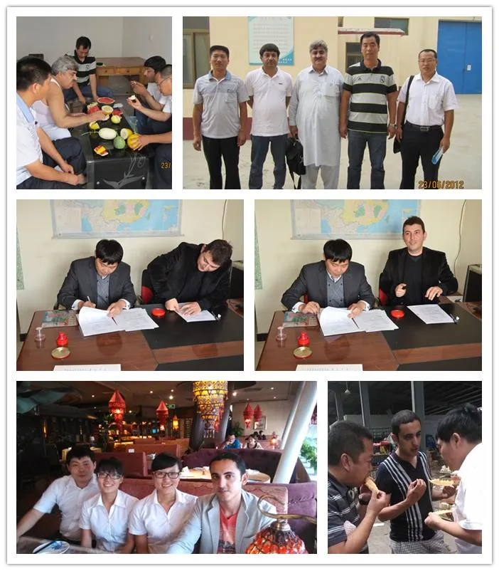 Hot Sale Hybrid Watermelon Seeds for Growing