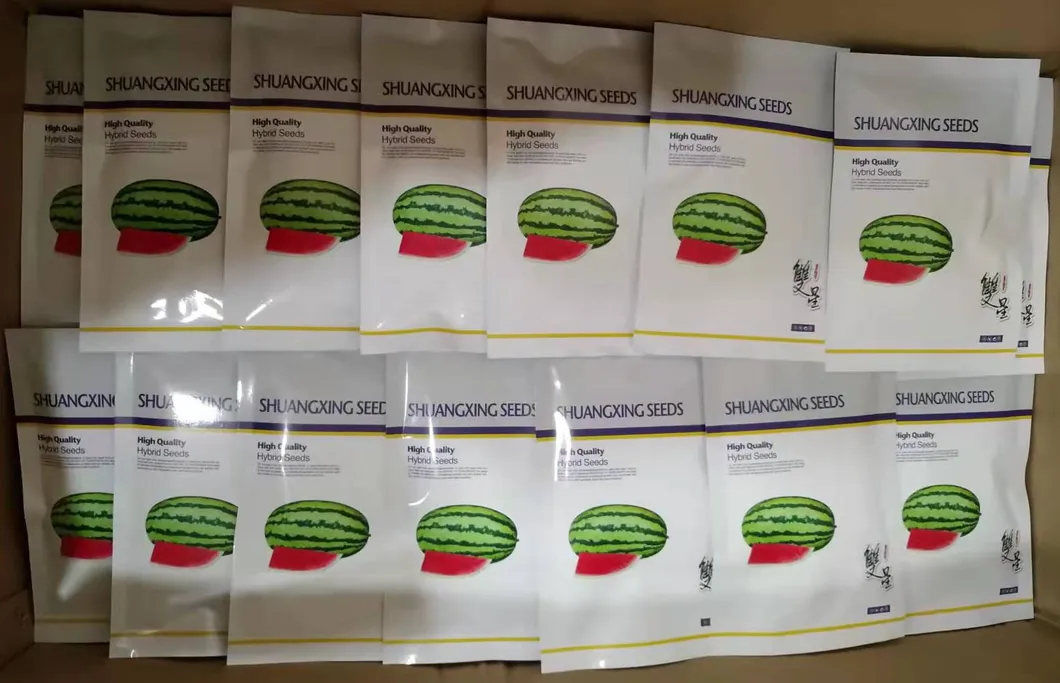 Hot Sale Hybrid Watermelon Seeds for Growing