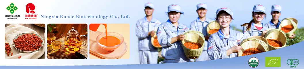 NFC Origin Goji Puree Fresh Juice Goji