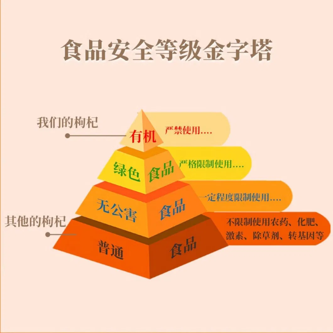 NFC Origin Goji Puree Fresh Juice Goji