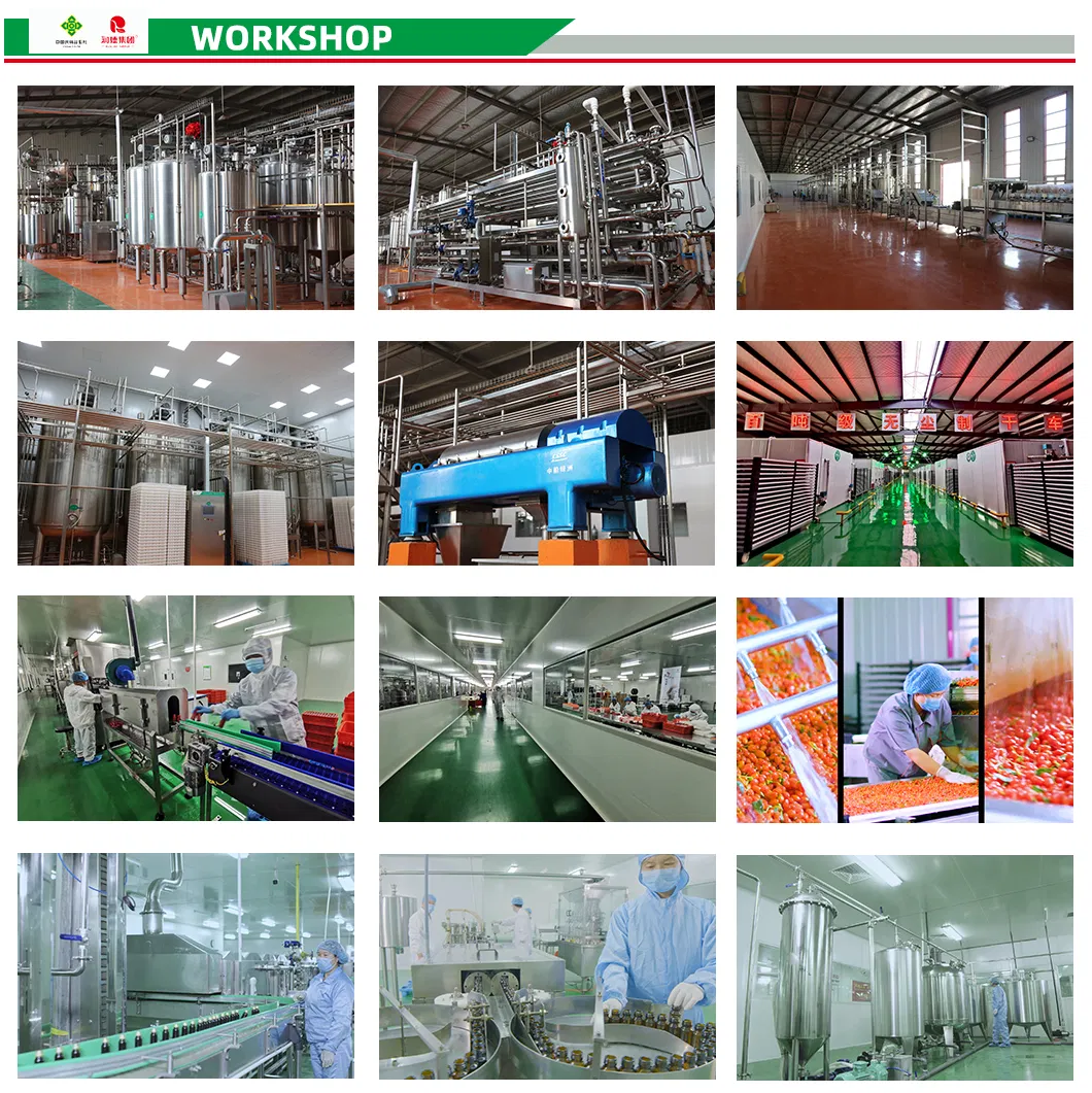 NFC Origin Goji Puree Fresh Juice Goji