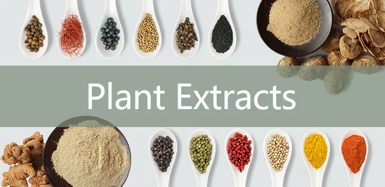 10: 1 Pure Natural Root Powder 95% Turmeric Curcumin Extract