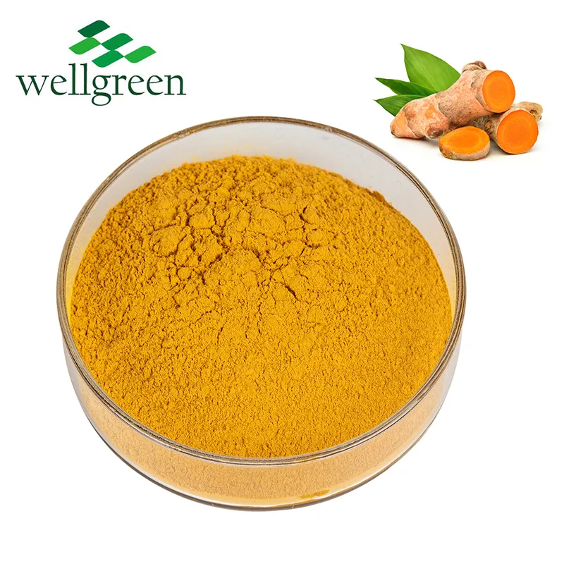10: 1 Pure Natural Root Powder 95% Turmeric Curcumin Extract