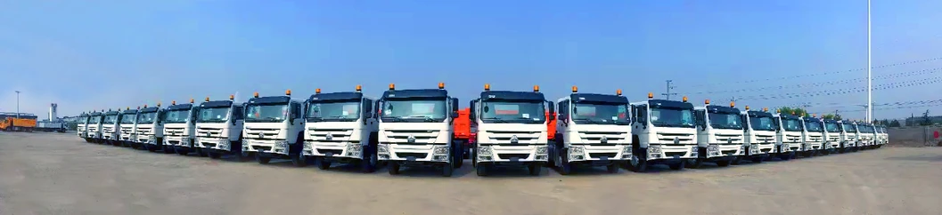 Affordable Sinotruck HOWO 6X4 Diesel Tractor Head for Global Buyers