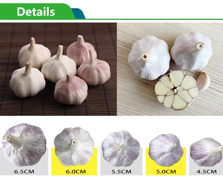 Garlic Price Per Ton From China Wholesale Price for Supermarket (Normal White Garlic & Pure White Garlic)