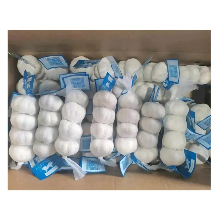 Garlic Price Per Ton From China Wholesale Price for Supermarket (Normal White Garlic & Pure White Garlic)