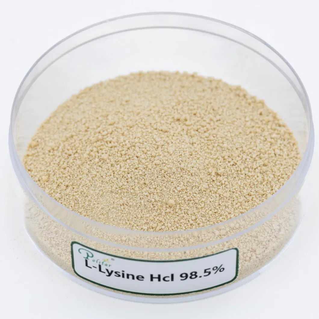 Feed Grade Choline Chloride 50% 60% 70% 75% for Poultry and Livestock Feed