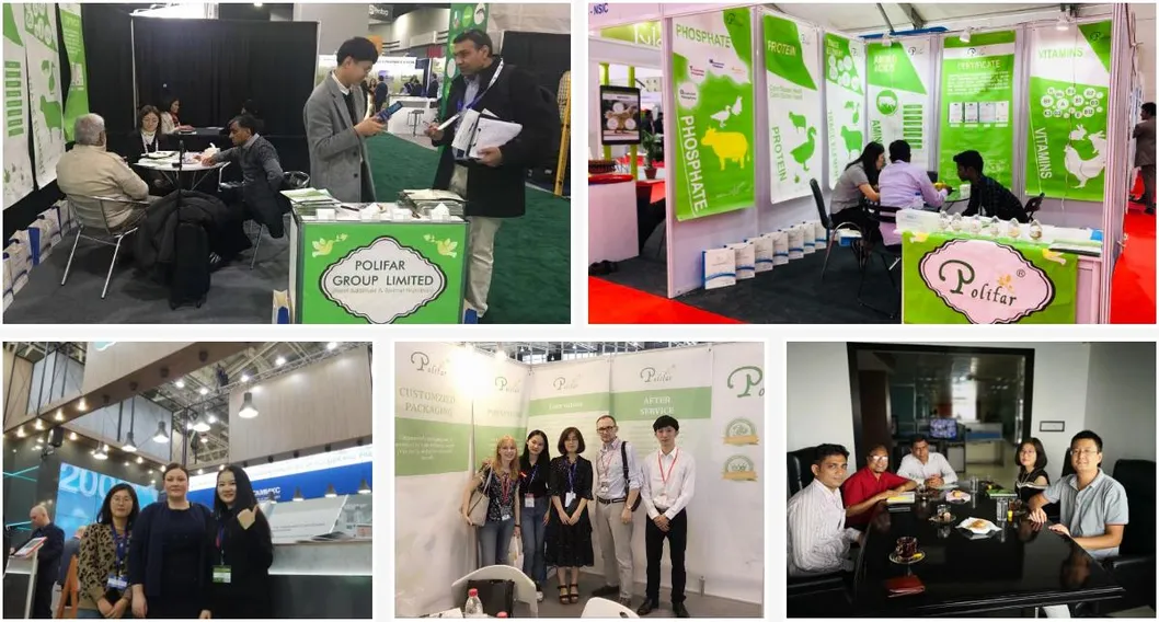 Feed Grade Choline Chloride 50% 60% 70% 75% for Poultry and Livestock Feed