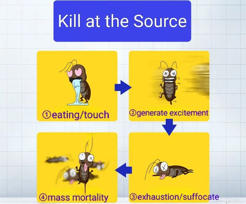 Kill Cockroach Fipronil (Gel Bait) Custom Specifications and Packaging Factory Price