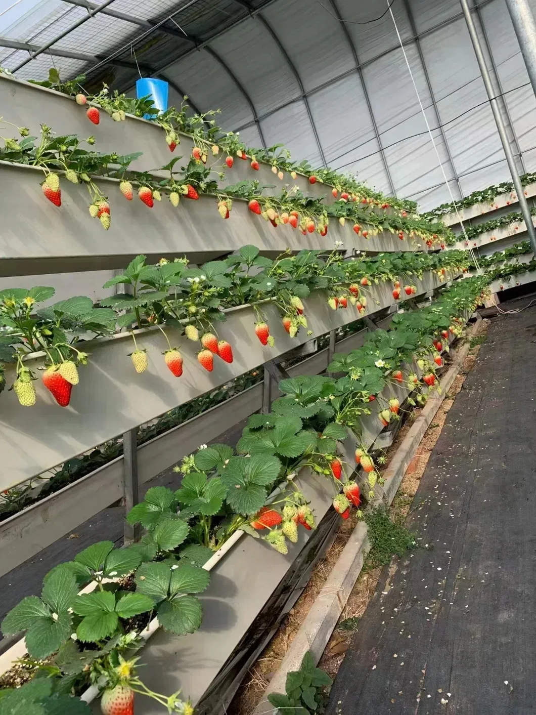 Hydroponic Food-Grade Nft PVC Channel PVC Gutter Pipe for Strawberry