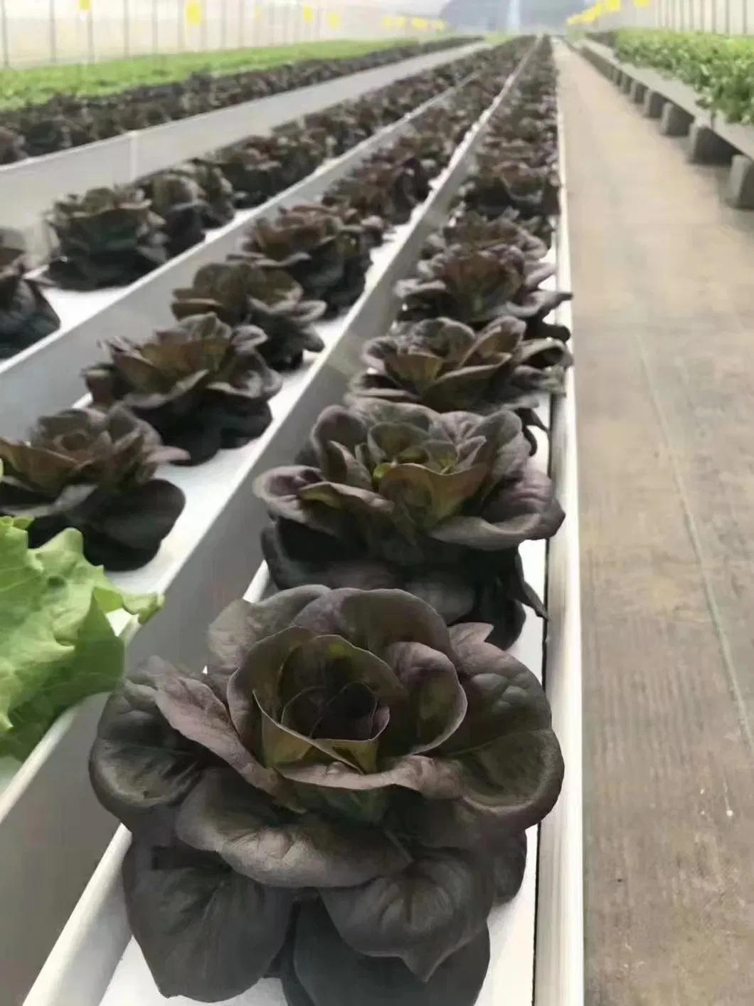 Hydroponic Food-Grade Nft PVC Channel PVC Gutter Pipe for Strawberry