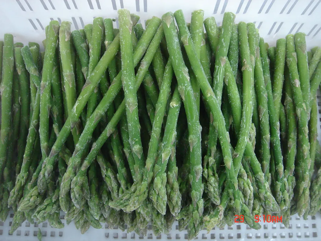 Wholesale Fresh Frozen Broccoli Cauliflower Lotus Root White Green White Cabbage Asparagus Fruit Mixed Vegetables Price From Factory Supplier