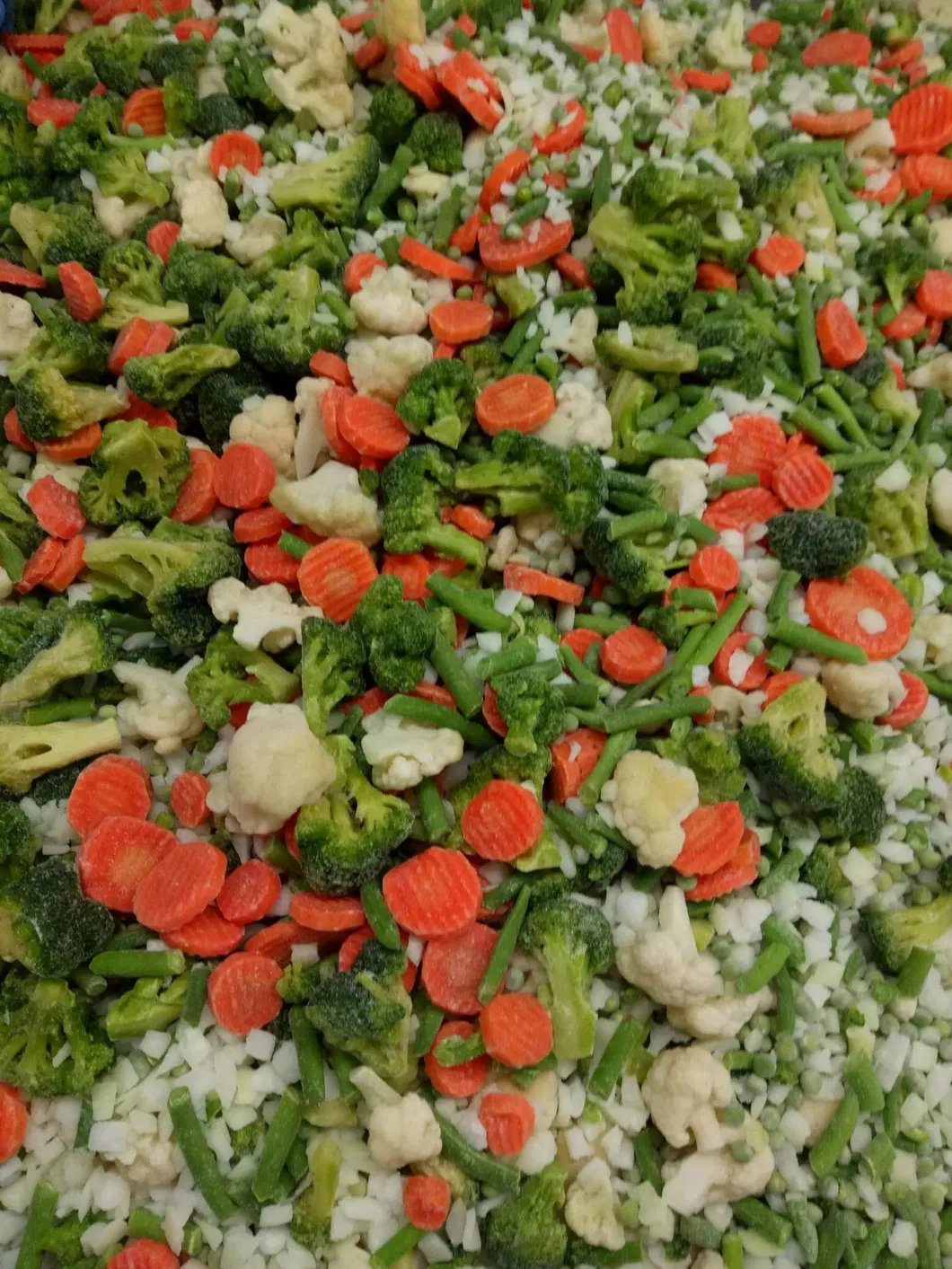 Wholesale Fresh Frozen Broccoli Cauliflower Lotus Root White Green White Cabbage Asparagus Fruit Mixed Vegetables Price From Factory Supplier