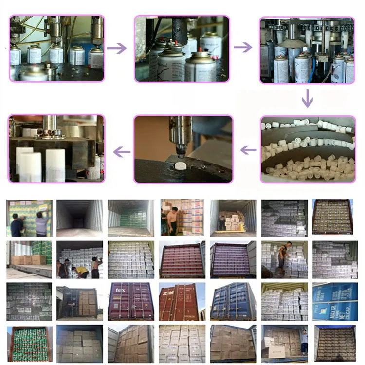 Reliable Factory Supply Quality Assurance Insecticide Spray Mosquito Pest Control Aerosol