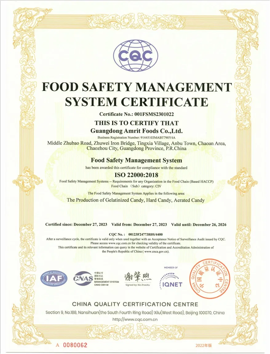 Coconut Cocoa Flavor Tart-Shaped Wholesale Snack Sweets Juicy Jelly Gummy Chinese Candy