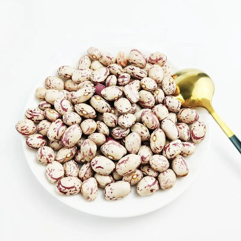 Xinjiang Best Quality Light Speckled Kidney Beans