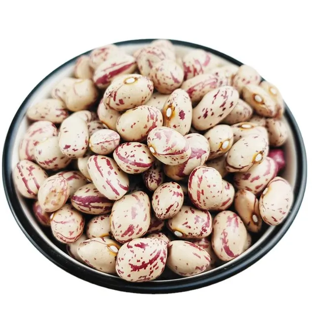 Xinjiang Best Quality Light Speckled Kidney Beans