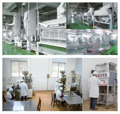 Premium Chinese Green Tea Golden Green Tea