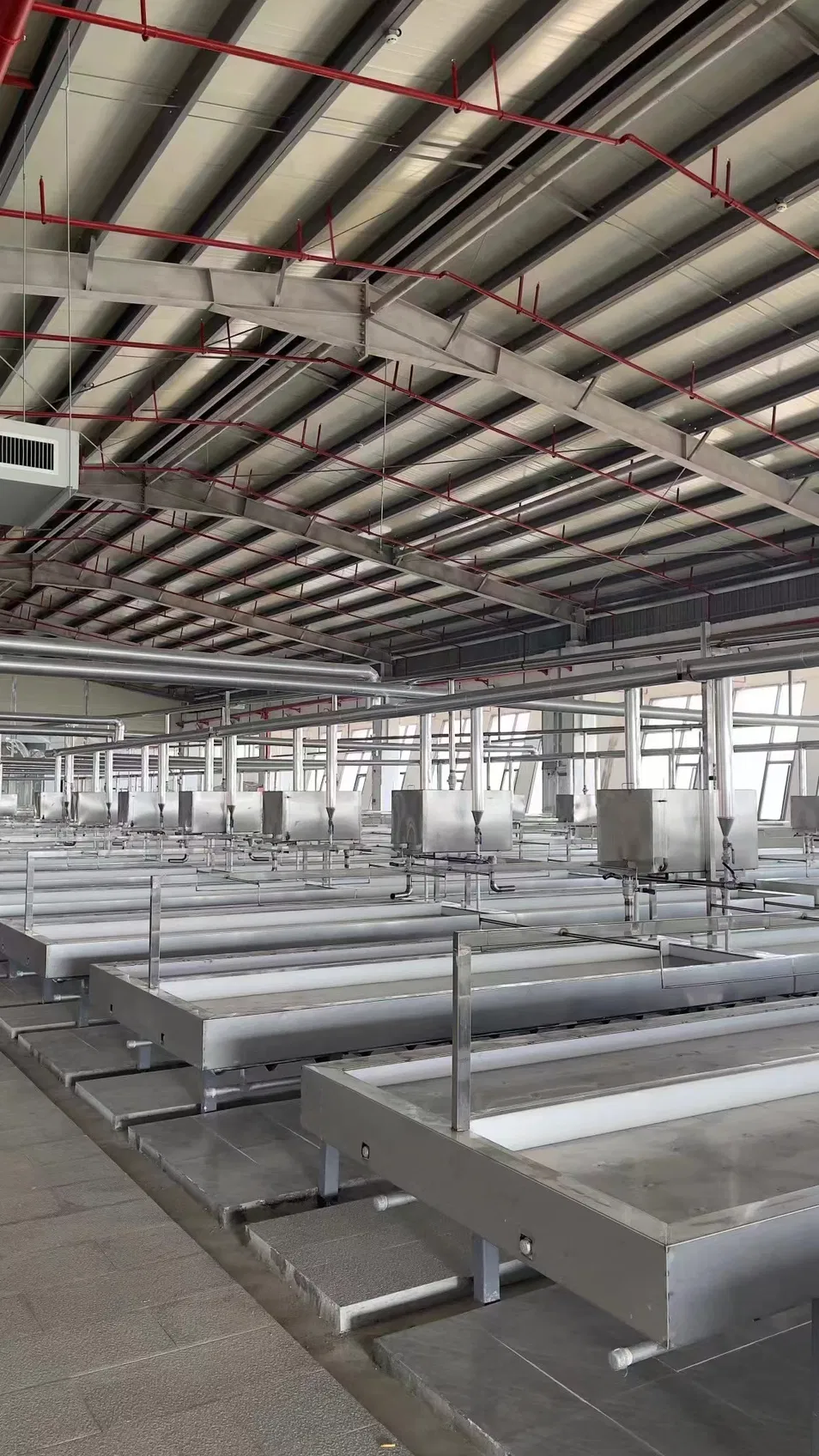 Top Quality Soybean Stick Chinese Factory Supply Tofu Stick