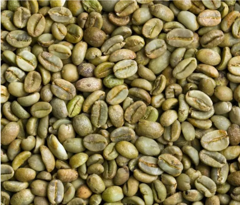 Arabica Robusta Green Coffee Beans Wholesale Export Coffee Bean