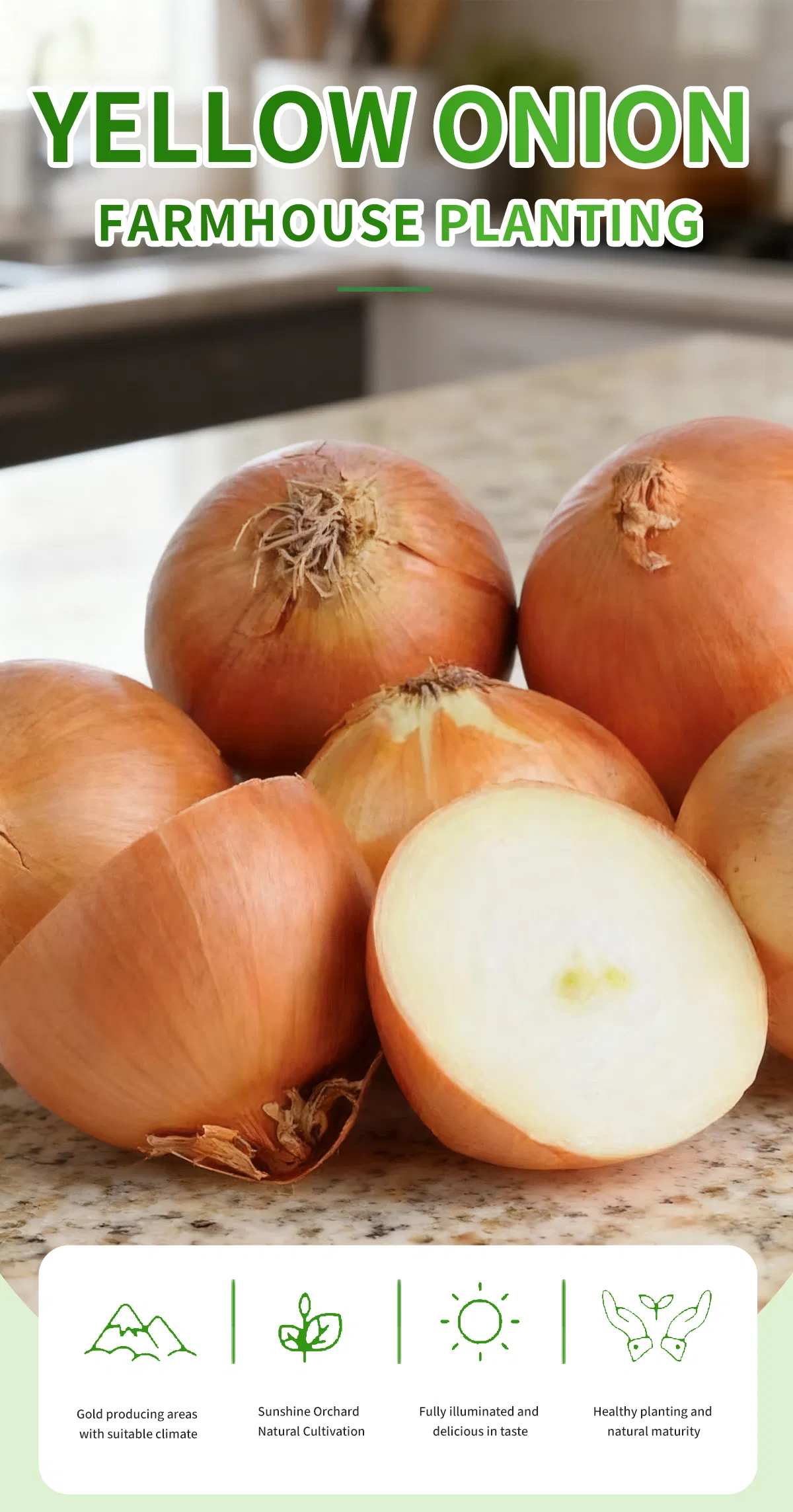 Fresh Yellow Onion From China Supplier