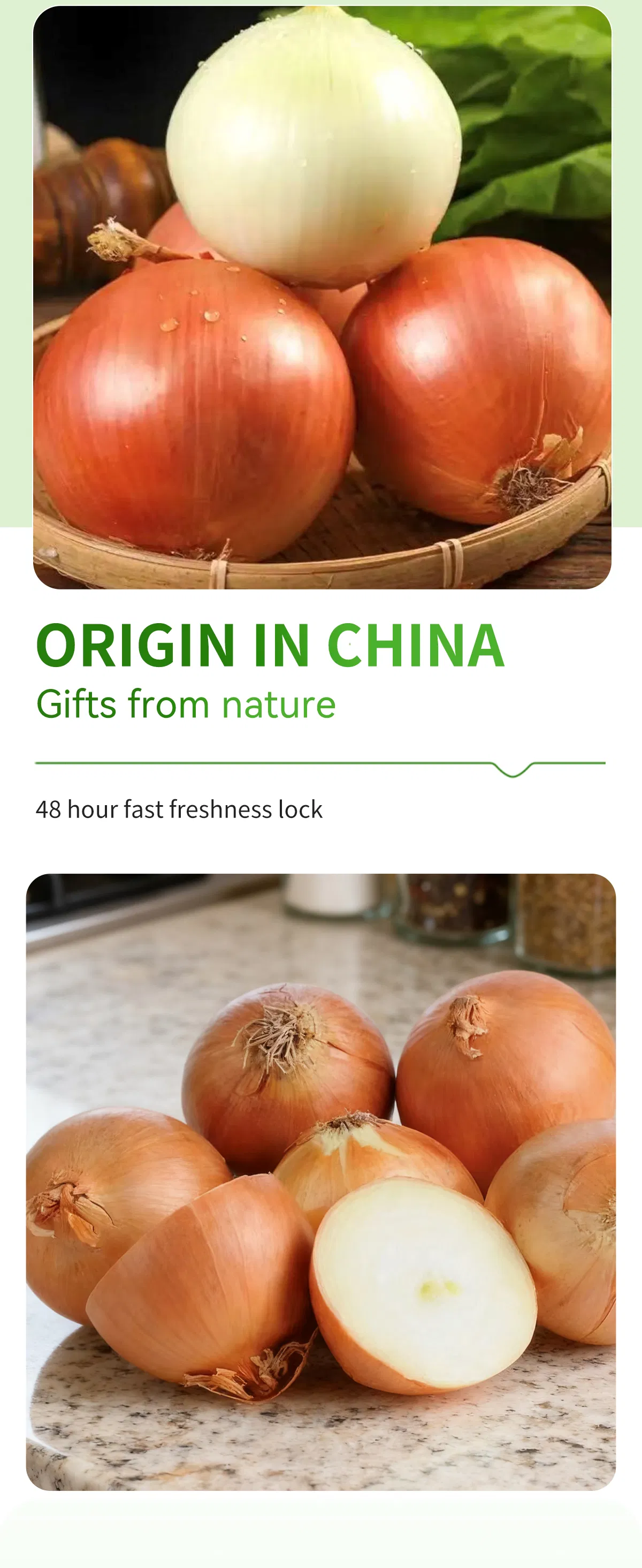 Fresh Yellow Onion From China Supplier