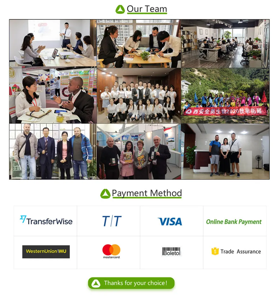 Pure Natural Butterfly Pea Flower Powder for Vibrant Blue Matcha